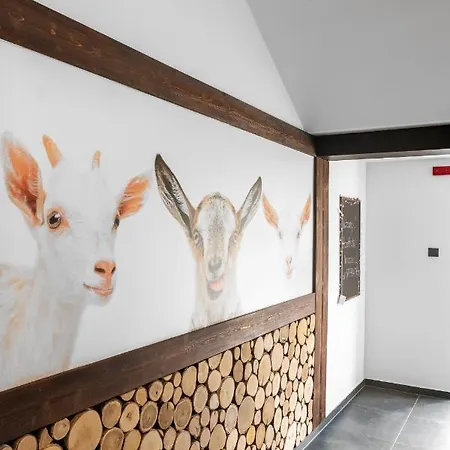 Apart-hotel Narciarska 2 4*