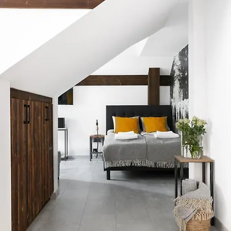 アパートホテル Narciarska 2 コルビエルフ