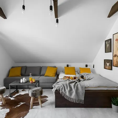 Narciarska 2 アパートホテル 4*