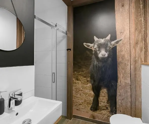 Narciarska 2 Aparthotel