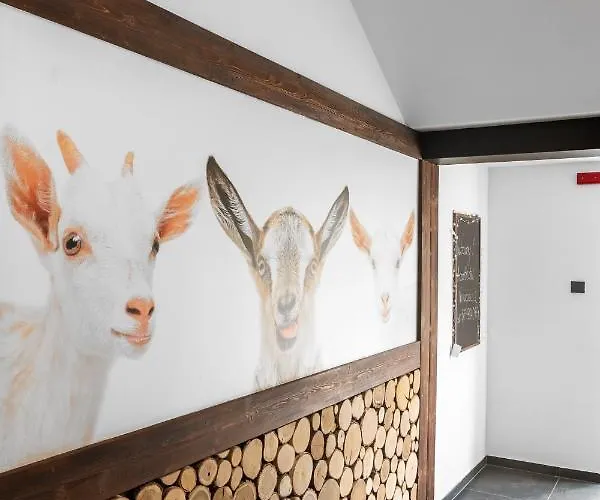 Aparthotel Narciarska 2 4*